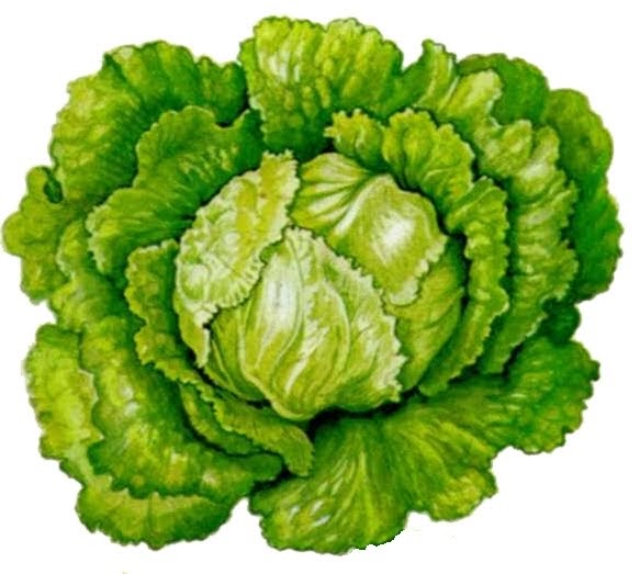 RefeitórioEscola Alexandre Herculano Santarem ALFACECuriosidades